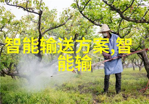 12345市场监督管理局维护消费者权益的先锋力量