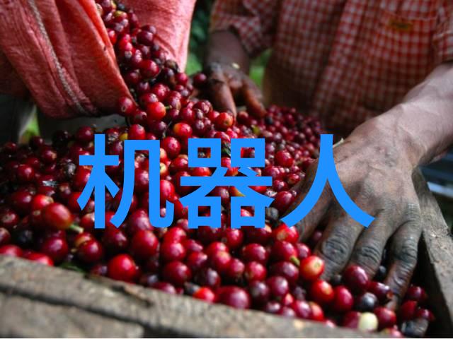反渗透净化水设备我是如何让家里的水变得超级干净的