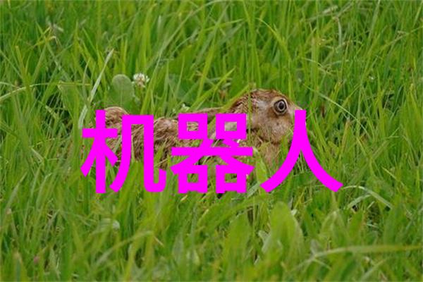 污水净化技术的未来趋势与创新应用