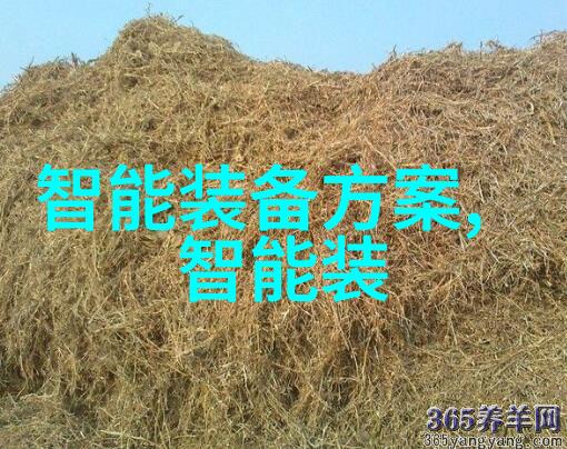 化肥破碎机高效农用机械设备