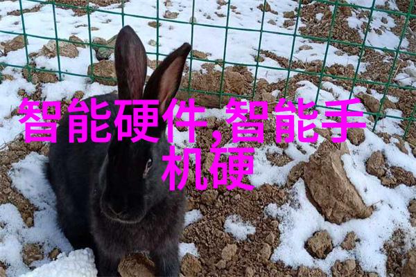 实用案例分析优秀开题报告的典范与启示