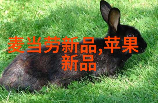 信息技术-一体化机柜集成未来数据中心的智能解决方案