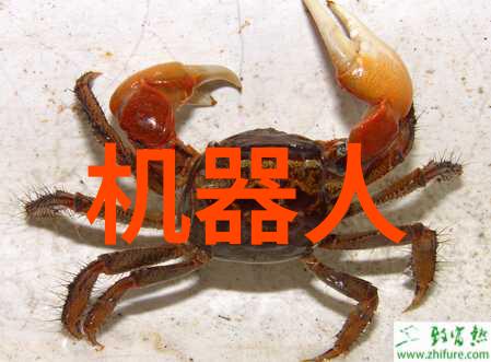 反应器装置图解析与应用实践