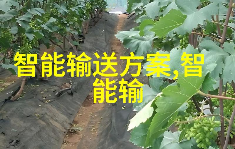 干燥技术的进步与设备创新