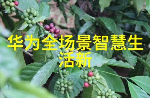 湖南中南智能装备技术与应用中南智能装备的创新发展