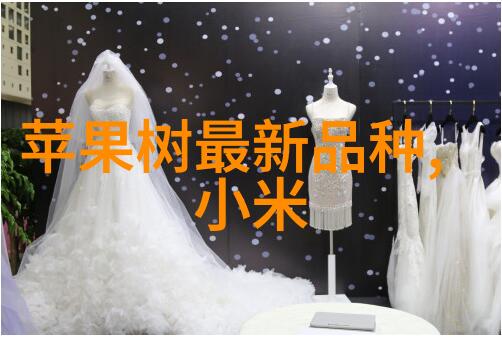 上海东富龙制药设备制造有限公司我在这里找到了我的梦想之地