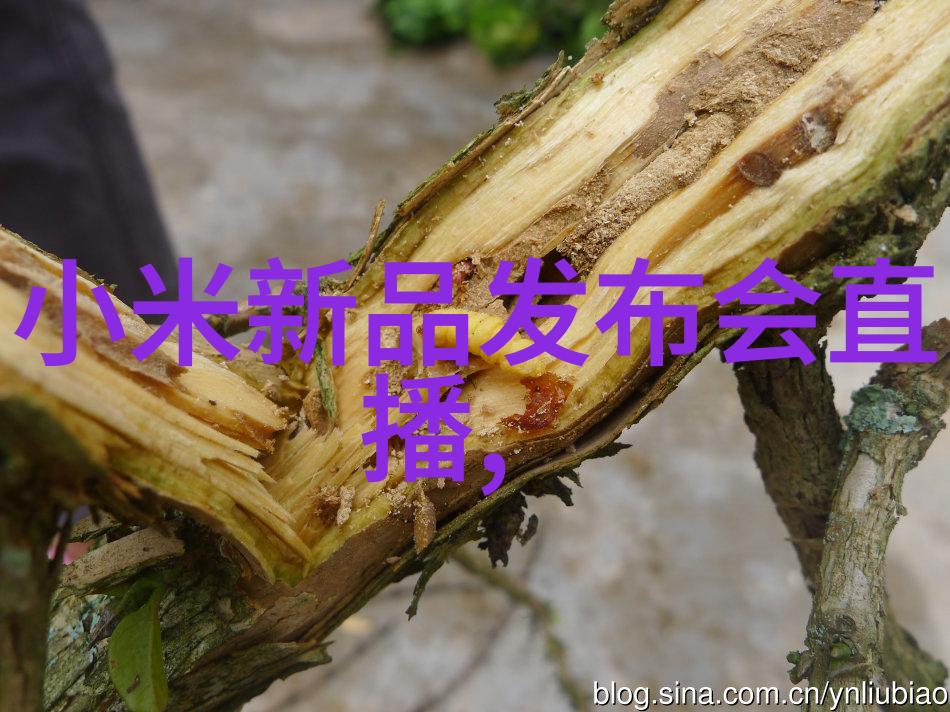 水质检测中心环境监测与污染防治