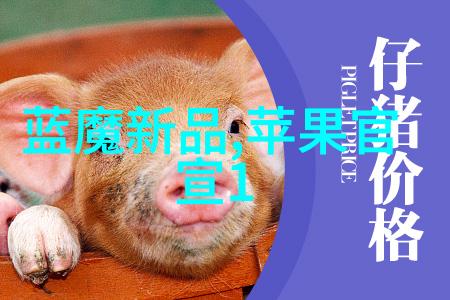 东北财经大学铸就经济学者育才未来