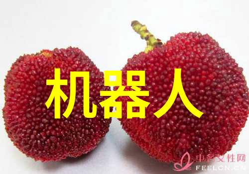 科技生活我是如何让无线可穿戴设备改变我的每一天的