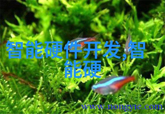 星空天美MV视频我眼中的流星雨跟随旋律的跳跃与沉醉