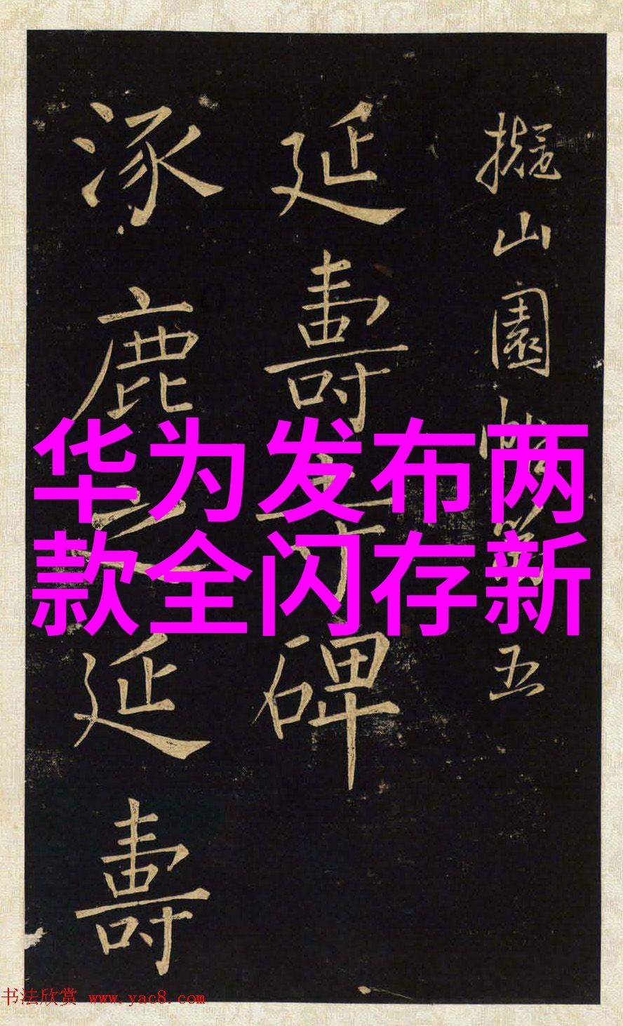菠萝蜜国际影片加速线路3 - 甜蜜解锁探索菠萝蜜国际影片加速线路3的秘密