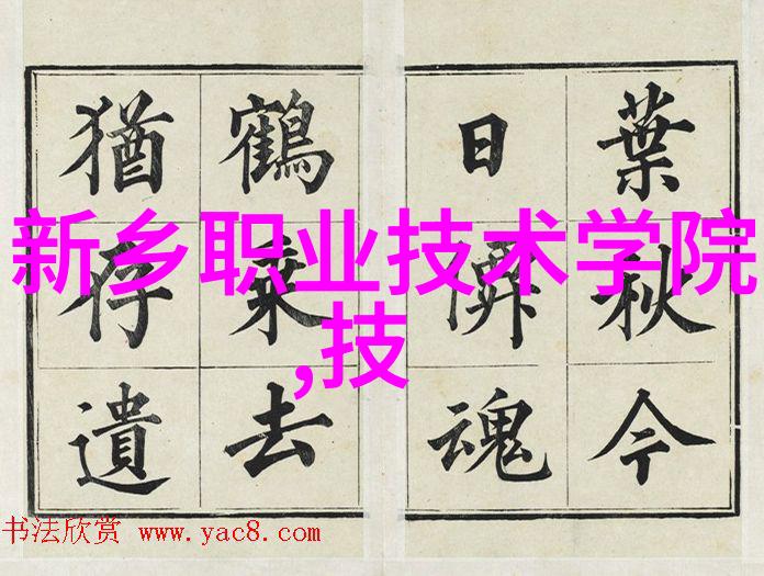 不锈钢矩鞍环之歌填料标准的旋律与节奏