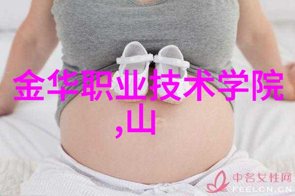 机器之翼带式干燥机的故事