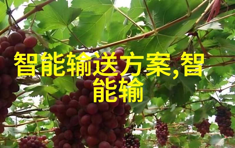 难道不是基于海伯森线光谱共焦技术的光学镜片检测而是机器视觉技术让我们的观察更加精确吗