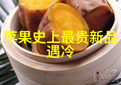 纯蒸汽发生器力学与热能的奇妙交响