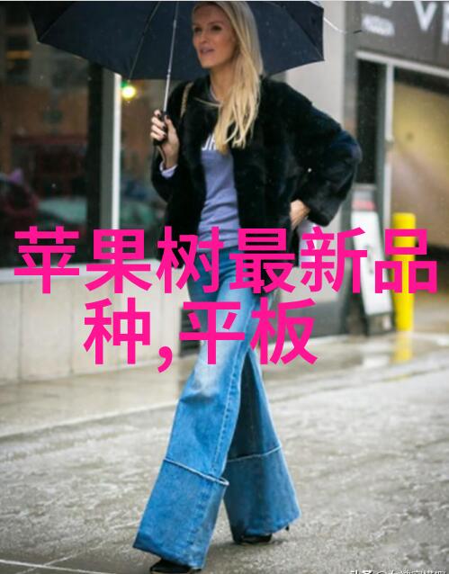 国家标准下的喷漆房设计追求完美的艺术与科技融合之谜