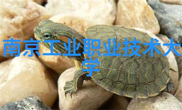 对于即将报考的学生来说选择山东商业职业技术学院是一个什么样的决定