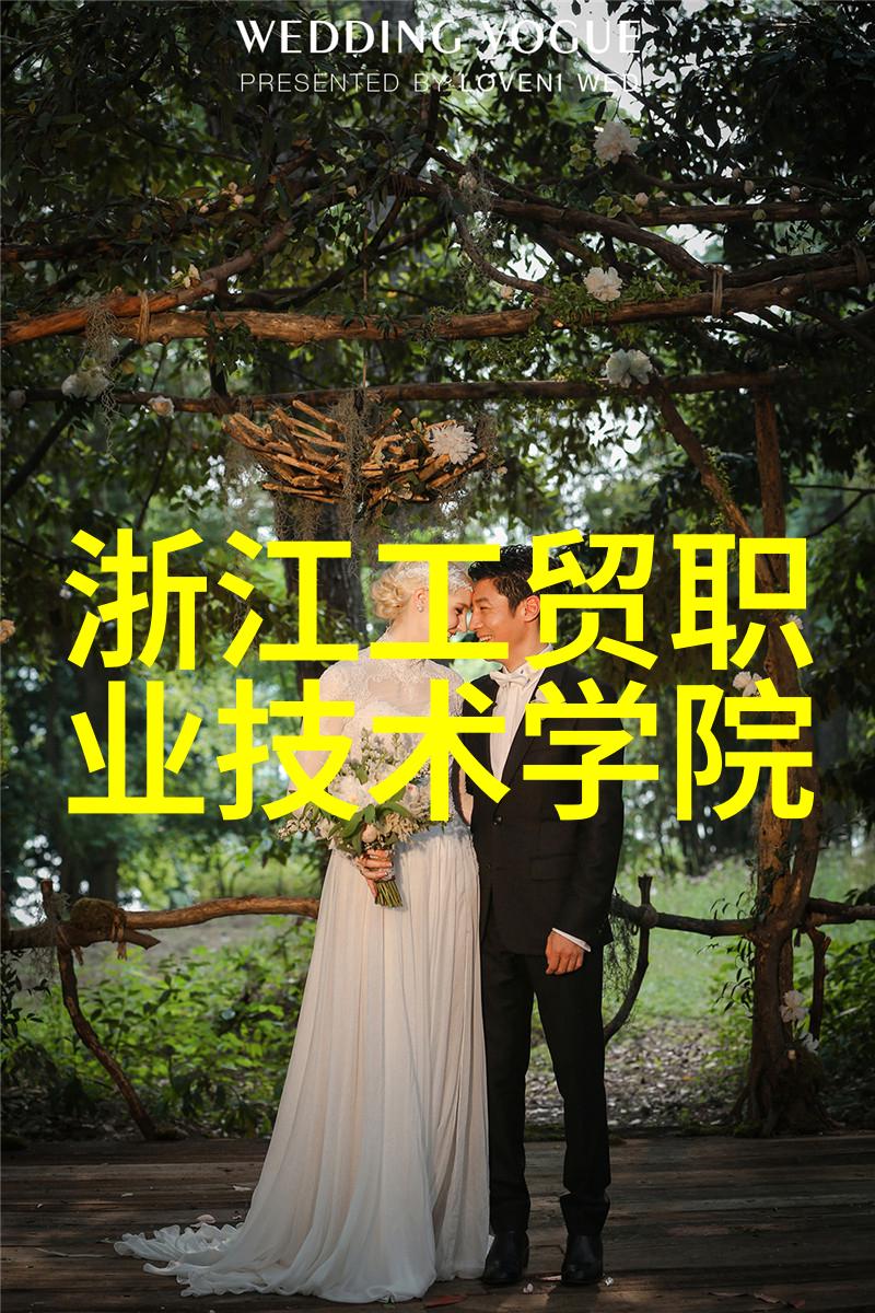 花生摘果机技术解析如何高效收获花生的秘密