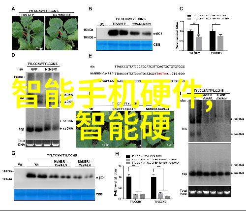 兰蔻新品发布精致护肤轻盈自然