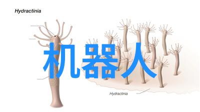 国色生香未删减版免费阅读-绚丽国风揭秘国色生香的魅力与艺术
