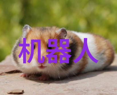 真空冷冻干燥设备我的食品安全守护者