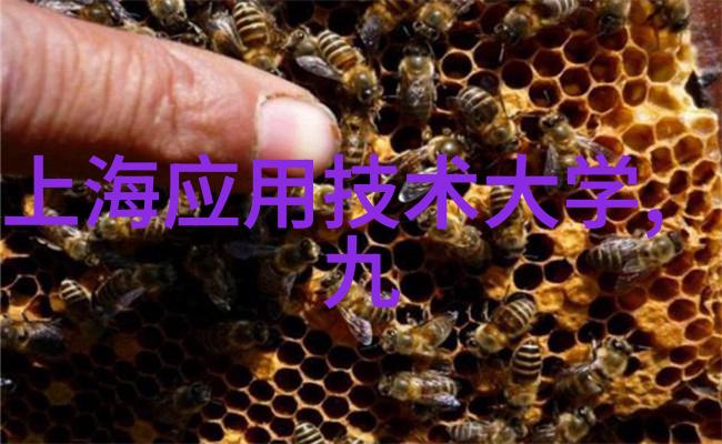不锈钢的多重魅力耐腐蚀美观强韧等特性