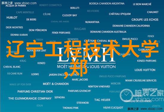 技术创新-深度学习革命如何机器视觉软件重塑了图像识别的未来