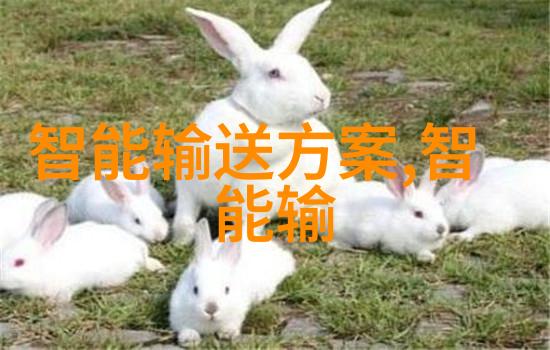 芯片为什么中国做不出我为啥看不到国产芯片的光芒