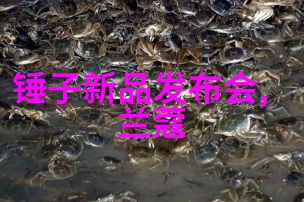 新能源时代下的流量测量技术进展与应用前景