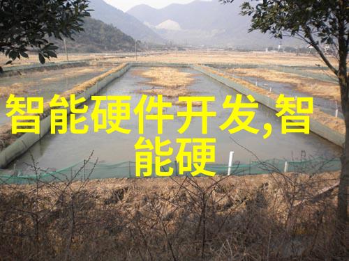 冷库设备生产厂家冰屋之主的技艺与挑战