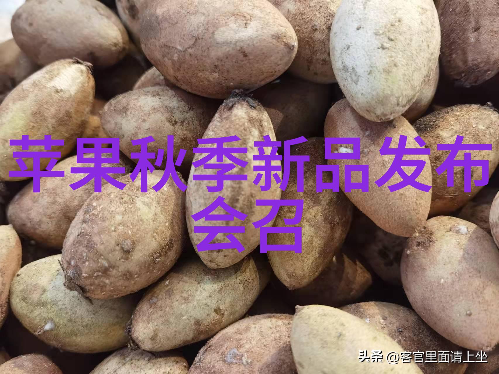 多功能流化床智慧的生长空间