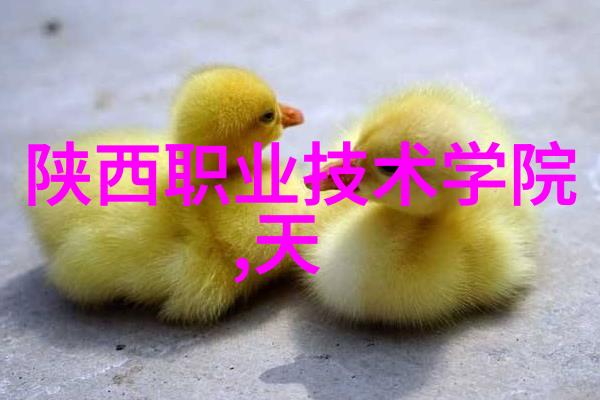 根据最新的市场分析报告台积电正在考虑在美国投资生物芯片领域计划建立至少5个新的晶圆厂以满足未来对高性