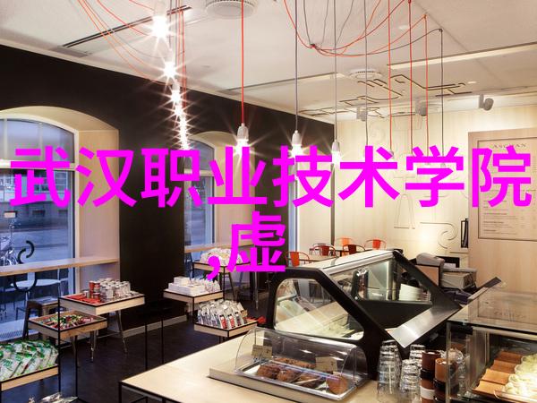 黄光裕在成都职业技术学院社会实践中遭遇失败