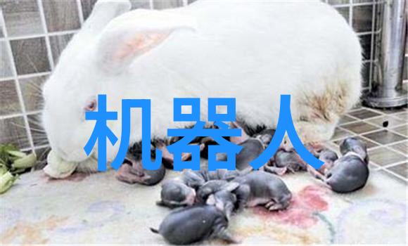金鼎杀菌釜家庭健康的守护者