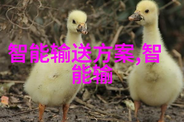 北森人才测评系统高分攻略解密评分体系与提升技巧