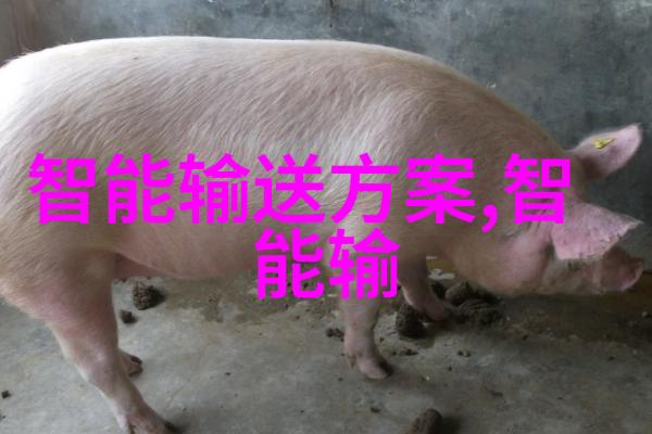 微波杀菌设备-超声波技术革新如何提高微波炉的杀菌效率与安全性