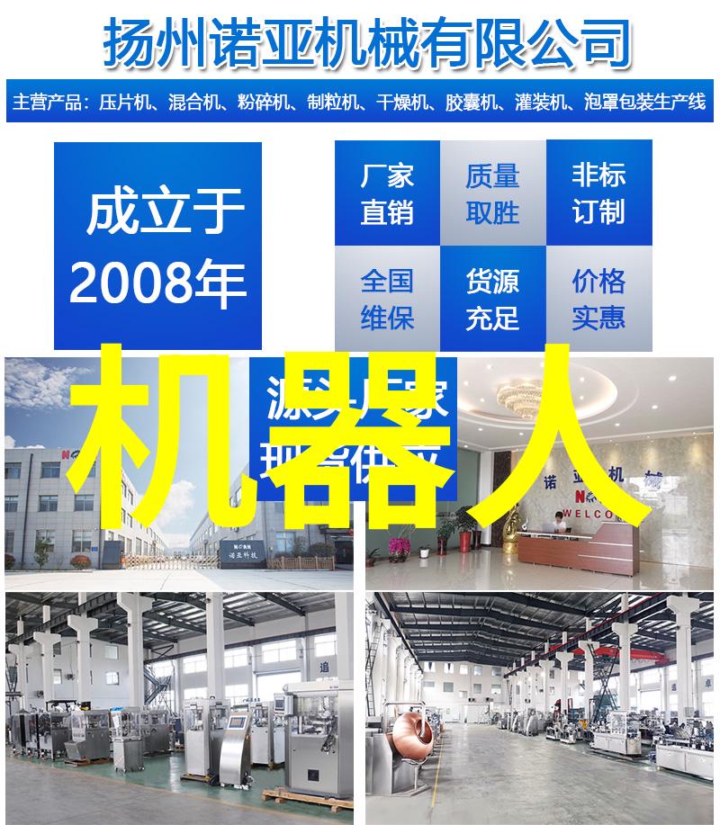 应当如何处理工作经验和教育背景在报告中的展示