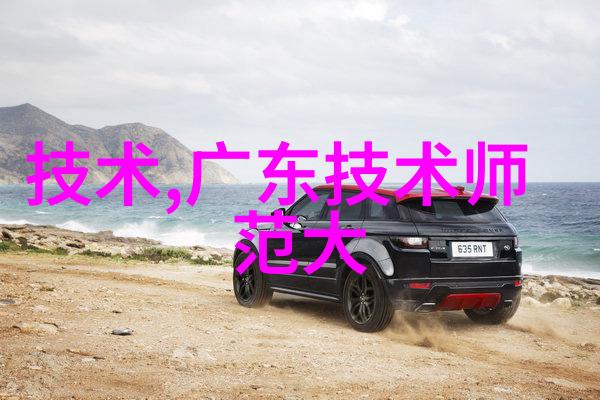 功能测试工具的选择与使用关键因素有哪些