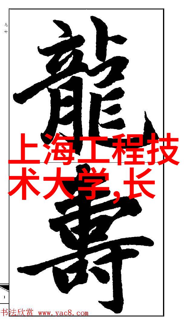 连续式干燥设备设计原则及其优化方法