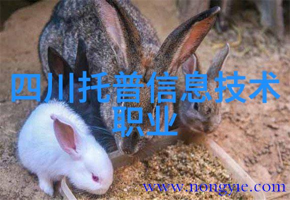 水之柔和探索净化科技的奇迹