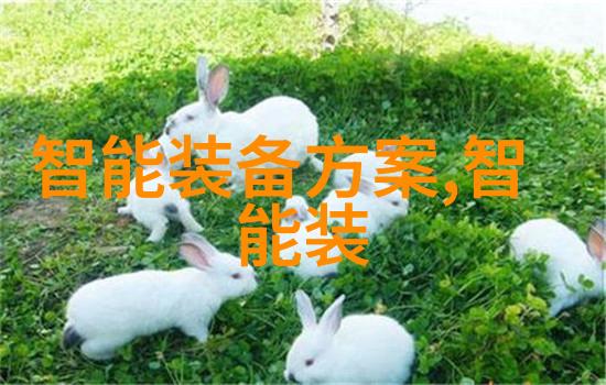 大型自来水过滤设备确保城市清洁饮用水供应系统的稳定性与安全性