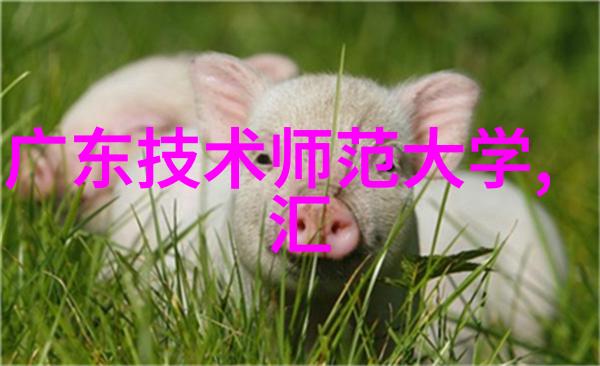 废品回收网站我的垃圾变金钱之旅