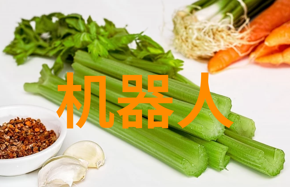 金属环矩鞍填料安装指南