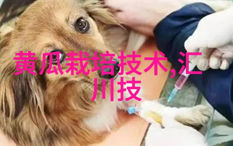 装修学探究室内空间美学与功能性优化的策略与方法
