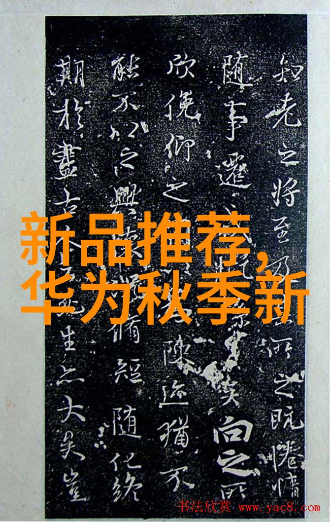 中国市场汇总增长动力与挑战分析