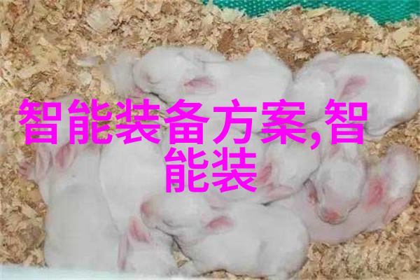 PE法兰接头与PE管连接技术概述紧密结合的流体传输解决方案