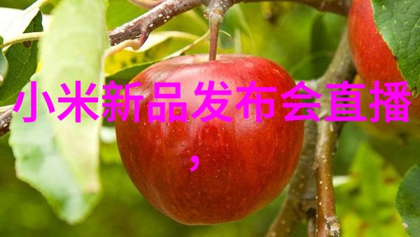 触摸初心解读第一次给0开的手法图中的创作密码