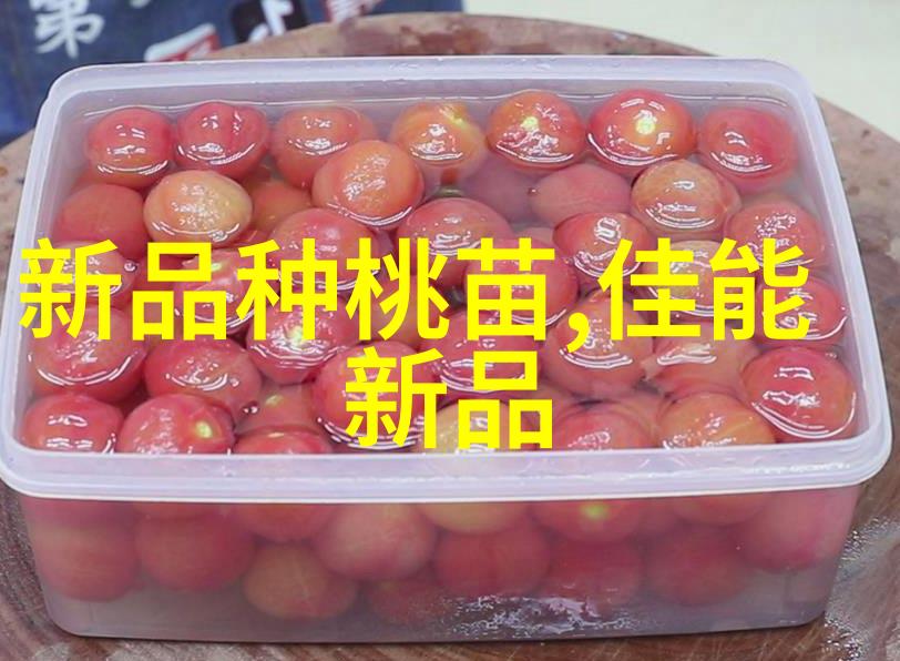 周边最近的农贸市场香气与颜色的交汇点