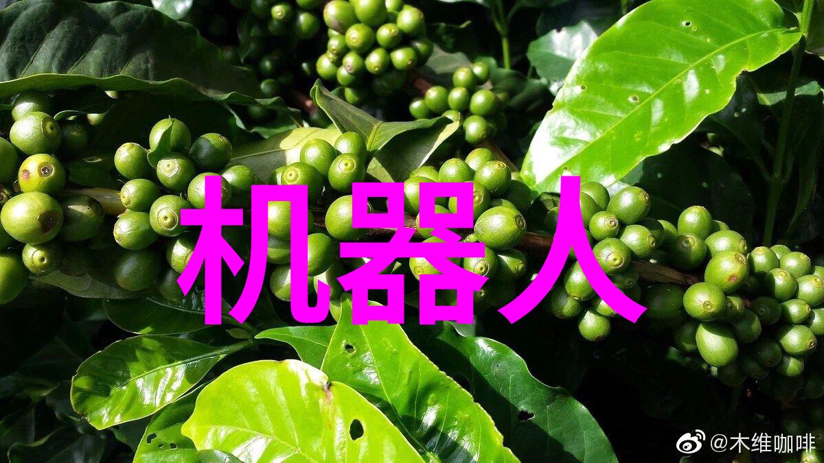 服装新品发布会我是如何在时尚前沿与设计师对话的