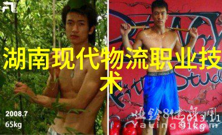 反应器内部构件关键部件与操作原理解析